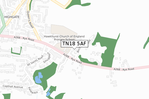 TN18 5AF map - large scale - OS Open Zoomstack (Ordnance Survey)