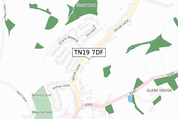 TN19 7DF map - large scale - OS Open Zoomstack (Ordnance Survey)