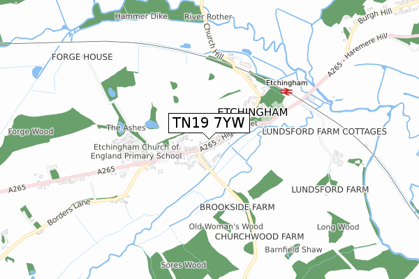 TN19 7YW map - small scale - OS Open Zoomstack (Ordnance Survey)