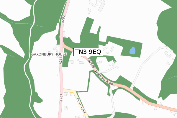 TN3 9EQ map - large scale - OS Open Zoomstack (Ordnance Survey)