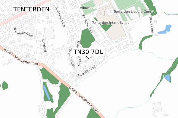 TN30 7DU map - large scale - OS Open Zoomstack (Ordnance Survey)