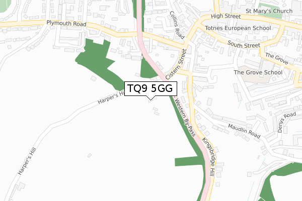 TQ9 5GG map - large scale - OS Open Zoomstack (Ordnance Survey)