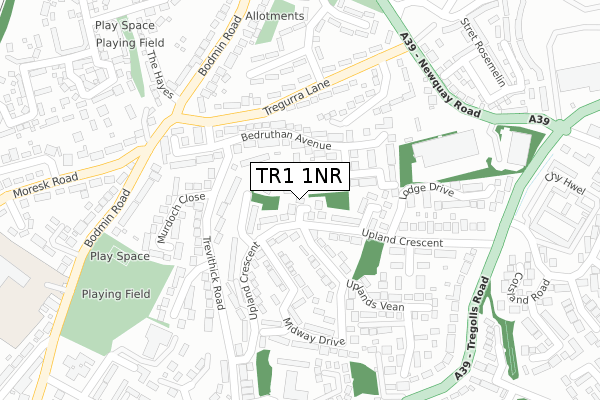 TR1 1NR map - large scale - OS Open Zoomstack (Ordnance Survey)