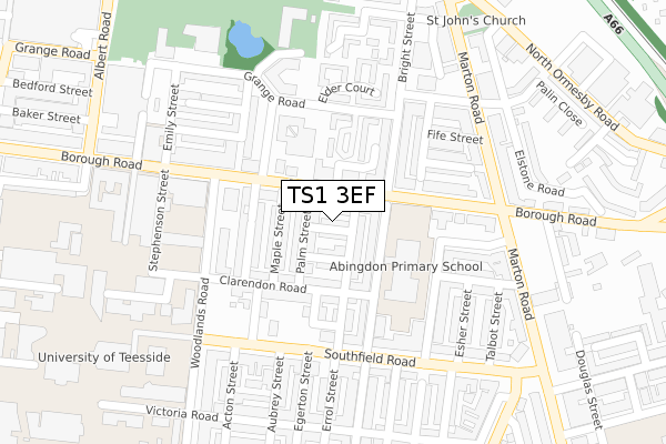 TS1 3EF map - large scale - OS Open Zoomstack (Ordnance Survey)