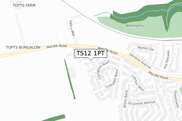 TS12 1PT map - large scale - OS Open Zoomstack (Ordnance Survey)