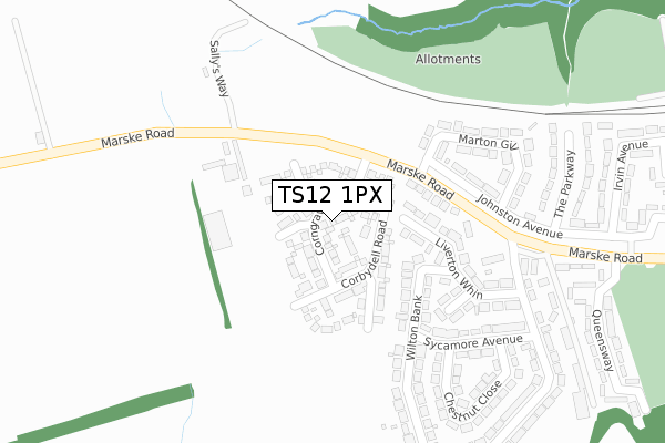 TS12 1PX map - large scale - OS Open Zoomstack (Ordnance Survey)