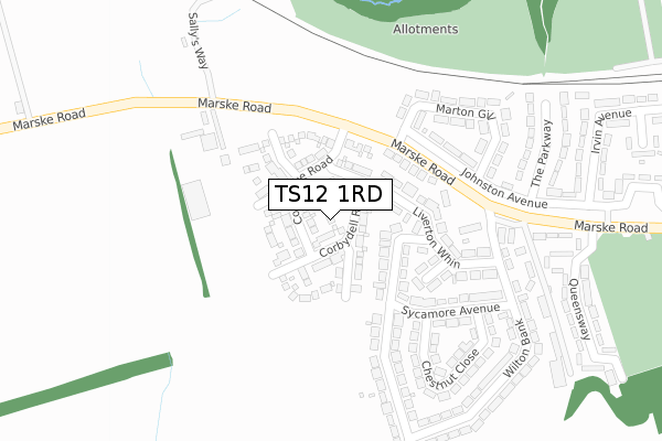 TS12 1RD map - large scale - OS Open Zoomstack (Ordnance Survey)