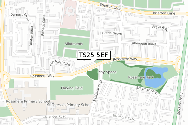 TS25 5EF map - large scale - OS Open Zoomstack (Ordnance Survey)