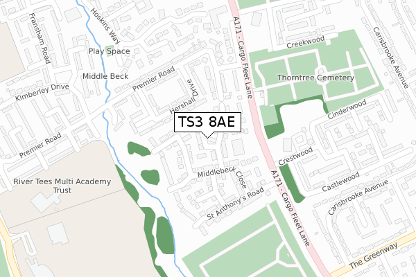 TS3 8AE map - large scale - OS Open Zoomstack (Ordnance Survey)