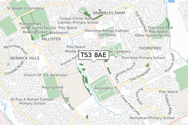 TS3 8AE map - small scale - OS Open Zoomstack (Ordnance Survey)