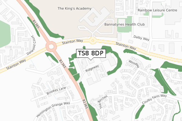 TS8 8DP map - large scale - OS Open Zoomstack (Ordnance Survey)