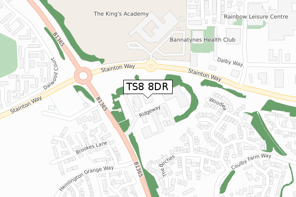 TS8 8DR map - large scale - OS Open Zoomstack (Ordnance Survey)