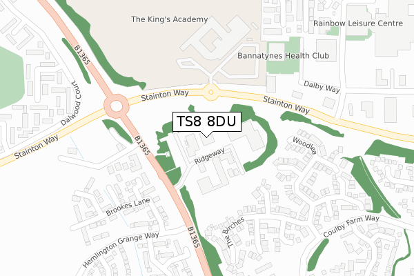 TS8 8DU map - large scale - OS Open Zoomstack (Ordnance Survey)