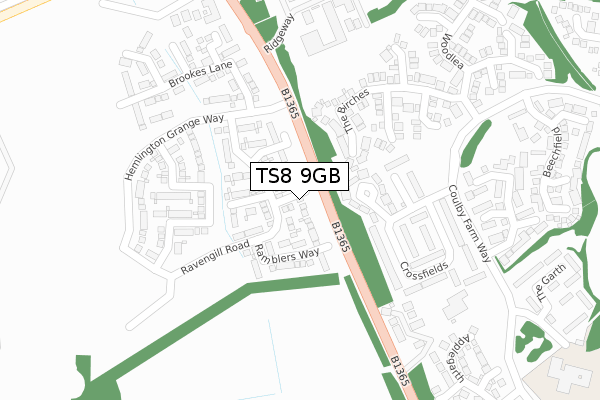 TS8 9GB map - large scale - OS Open Zoomstack (Ordnance Survey)