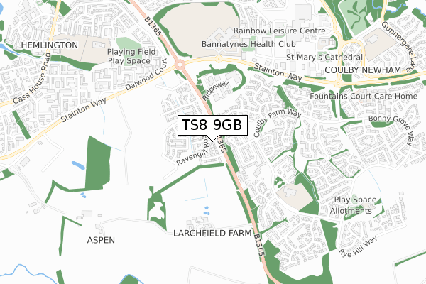 TS8 9GB map - small scale - OS Open Zoomstack (Ordnance Survey)