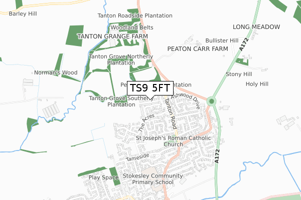 TS9 5FT map - small scale - OS Open Zoomstack (Ordnance Survey)