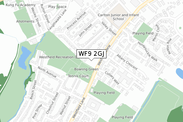 WF9 2GJ map - large scale - OS Open Zoomstack (Ordnance Survey)